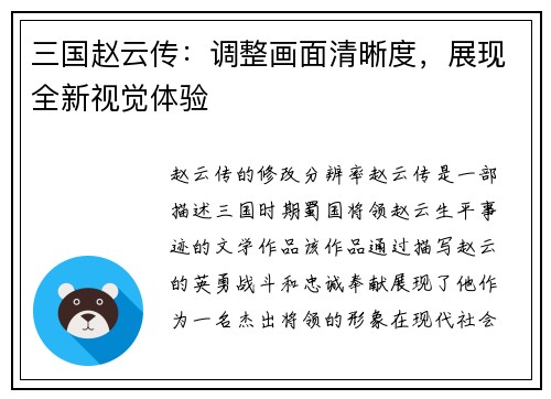 三国赵云传：调整画面清晰度，展现全新视觉体验